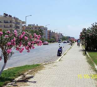 Küstenstraße in Alanya