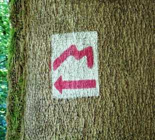 Wanderung durch die Kleine Luxemburger Schweiz