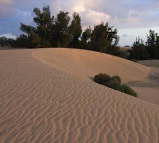 Dünen von Maspalomas
