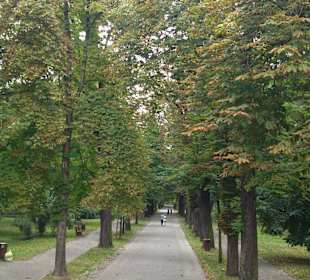 Główna Aleja