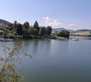 Blick auf den hessischen Arm