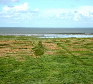 Landgewinnungszone im Wattenmeer
