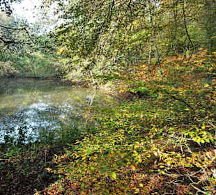 Impressionen aus dem Kurpark Bad Iburg