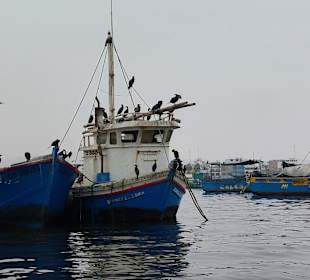 Hafen - Es geht los