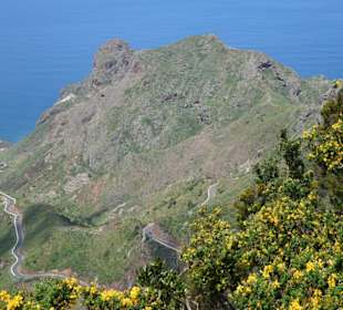Küstenblicke immer wieder