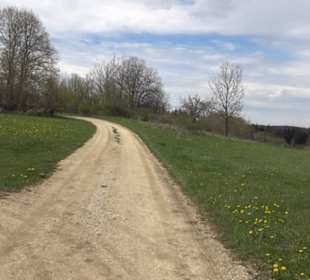 Spielplatz Lehmbuchenweg Apfelstetten