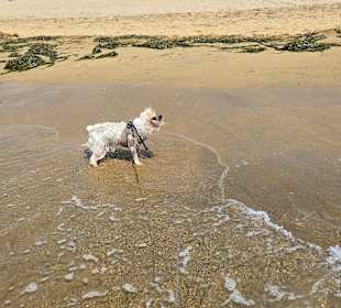 Am Morgen immer etwas da