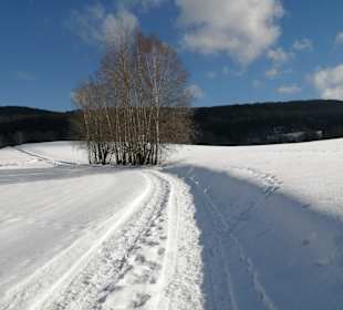 Wandern St. Englmar