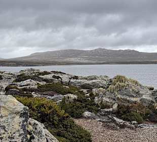 Falklandinseln