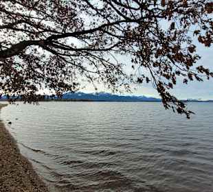Chiemsee