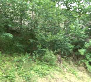 Wanderparkplatz Rechtenstein