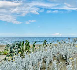 Strand Petacciato