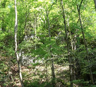 Premiumwanderweg Hochgehschätzt