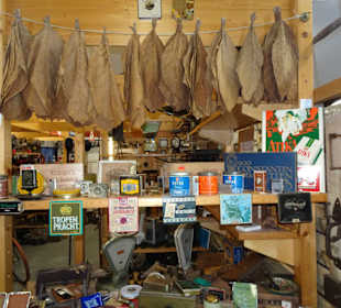 Rundgang durch "Dat lüttje Museum"