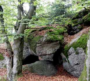 Unterschlupf