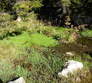 Rundwanderung Spitzingsattel