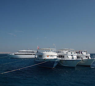 Schnorchelstopp am Poseidon