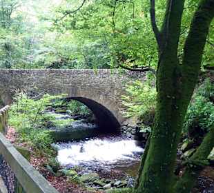 Killarney National Park