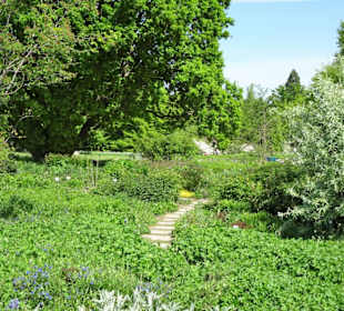 Rundgang durch den Berggarten Hannover