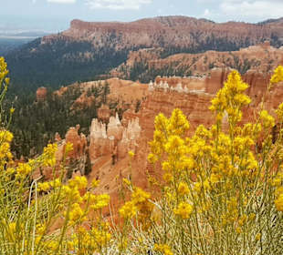 Bryce Canyon National Park