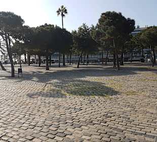 La Barceloneta