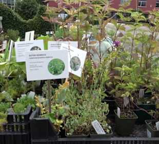 ALB-GOLD Naturgarten