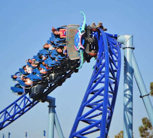 Manta in SeaWorld 