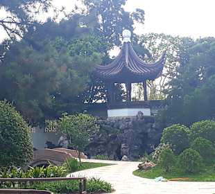 Chinese Garden