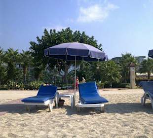 Two beds, one umbrella