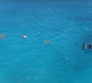 Schnorcheln und Tauchen