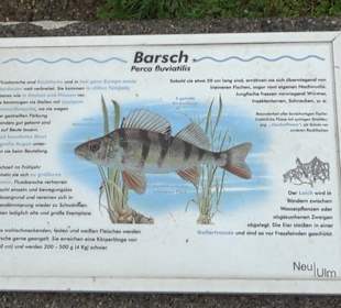 Fischlehrpfad Neu-Ulm