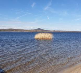 Umgebung am Berzdorfer See.