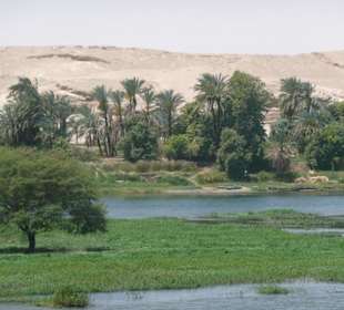 Auf dem Nil