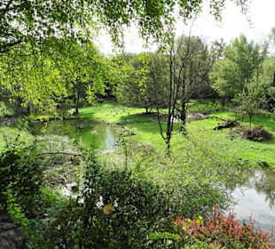 Die großen Gehege im Zoo Salzburg