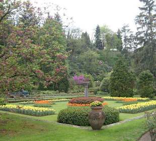 Viale del giardino botanico