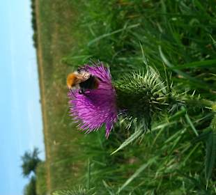 Kampinoski Park Narodowy