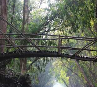 Natur pur