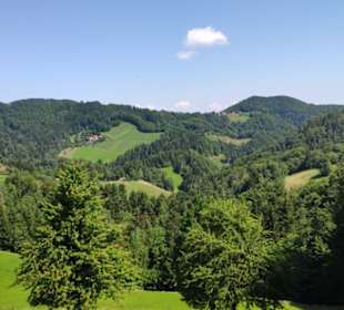 Blickrichtung Aussichtswarte