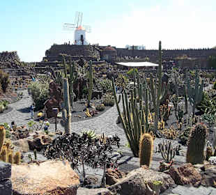 Im Hintergrund Mühle mit Restaurant