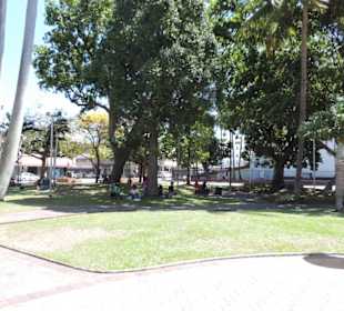 Grüne Lunge mitten in der Stadt