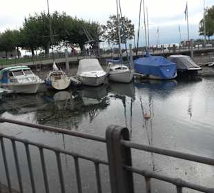 Skulptur "Hockender Schwimmer"