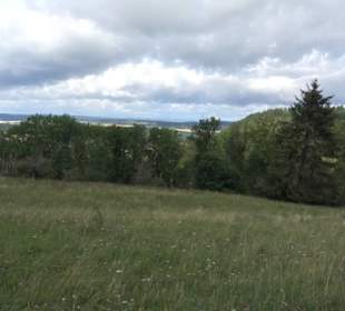 Naturschutzgebiet Zollerhalde Zimmern