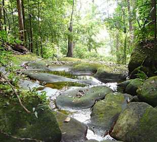Beschilderter Dschungelpfad am Damai Beach