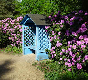 Der Duftgarten im Rhododendronpark Bremen