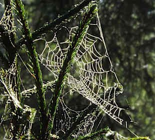 Wandern Friedrichroda