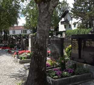Alter Friedhof