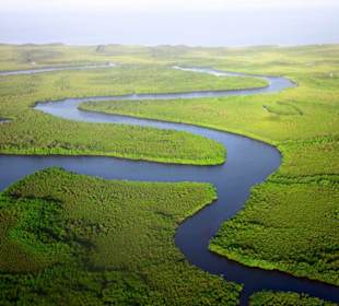 Nationalpark Delta du Saloum