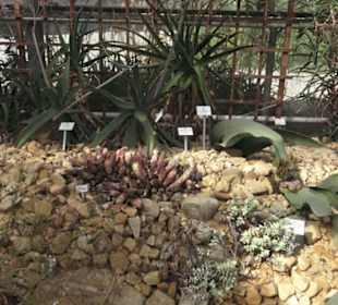 Botanischer Garten