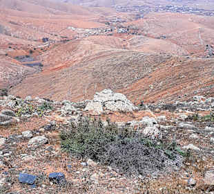 Inselrundfahrt Tagesausflug