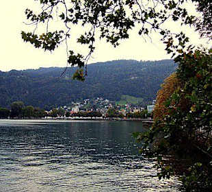 Am Ufer des Bodensees